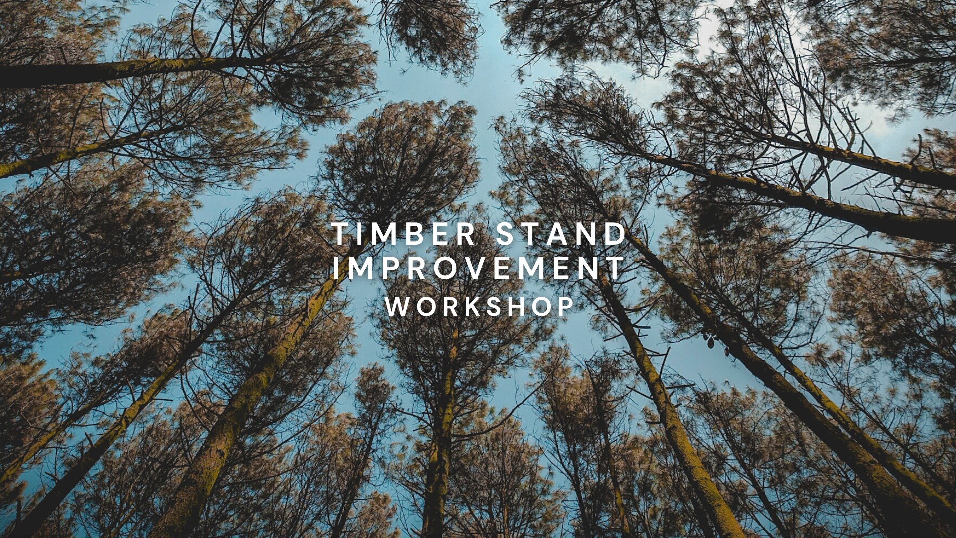 Timber Stand Improvement Workshop
