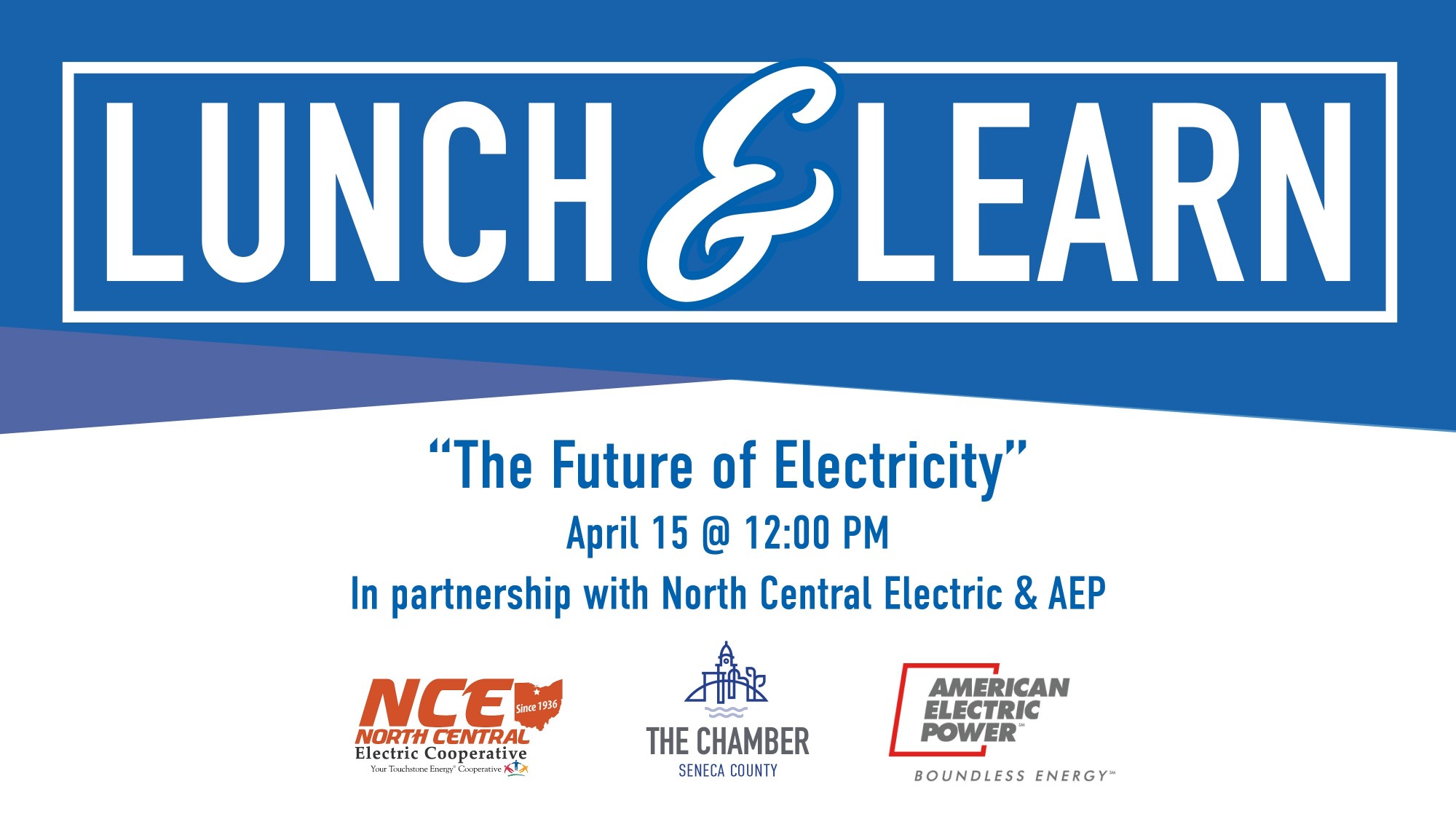 Lunch & Learn:  The Future of Electricity