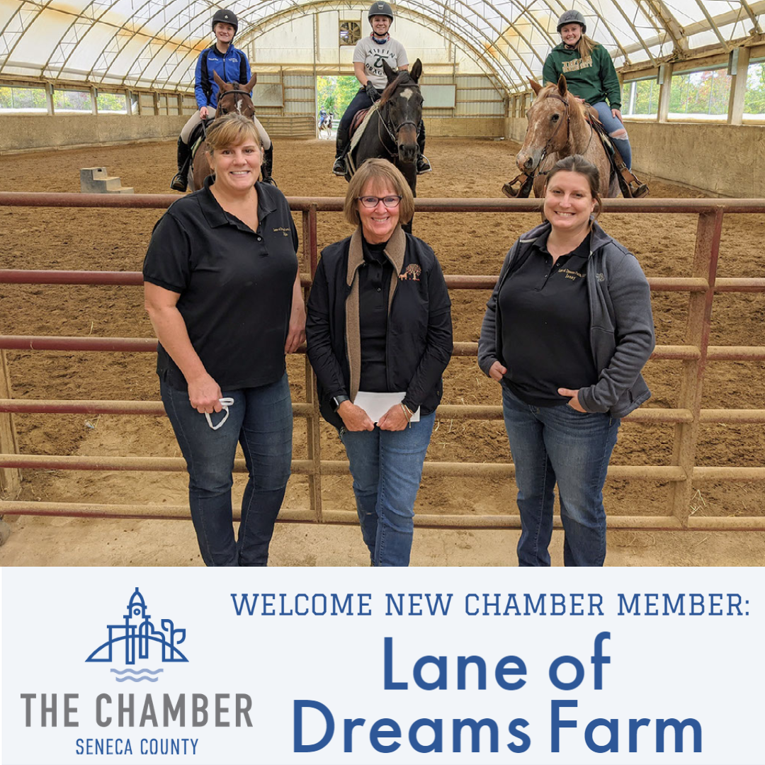 New Member:  Lane of Dreams Farm, LLC