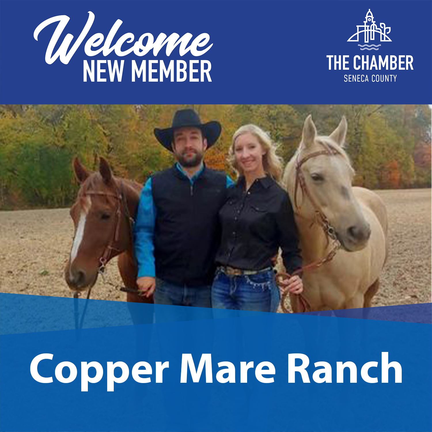 New Member: Copper Mare Ranch